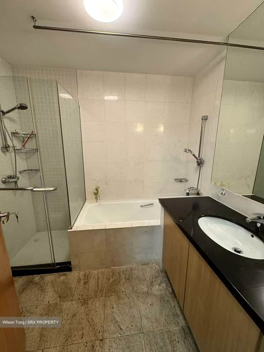 The Serenade @ Holland (D10), Condominium #565851941